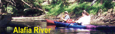 Alafia River Banner