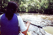 Alafia River;Whitewater rapids.