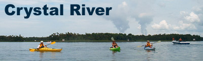Crystal River Banner