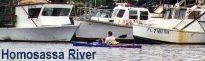 Homosassa River Banner
