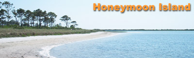 Honeymoon Island Banner