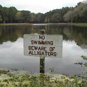 Lake Tarpon;Alligator warning.