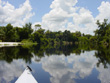 Little Manatee River Upper Section